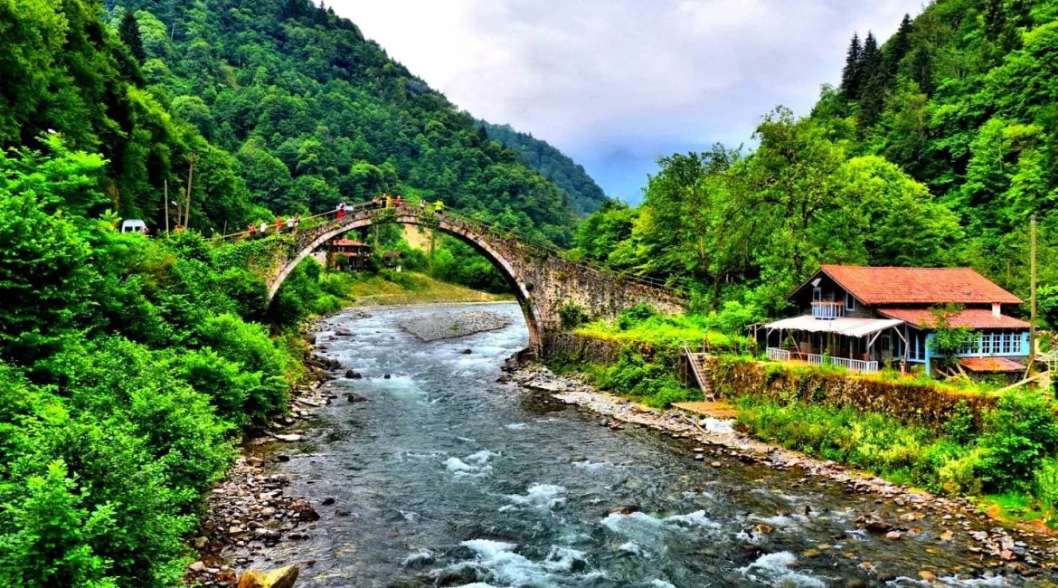 rize